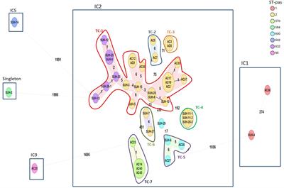 Molecular Epidemiology of Carbapenem-Resistant Acinetobacter baumannii From Khartoum State, Sudan